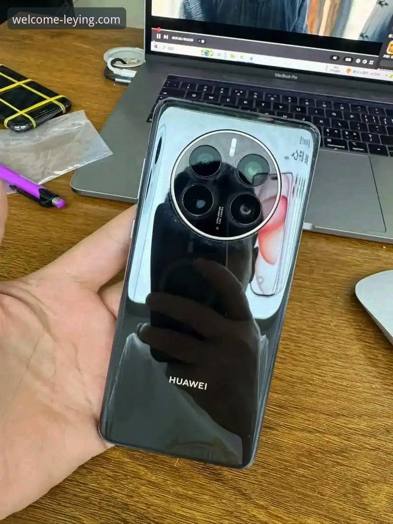 乐盈下载速度实测：2024年最新版本手机端响应效率全解析