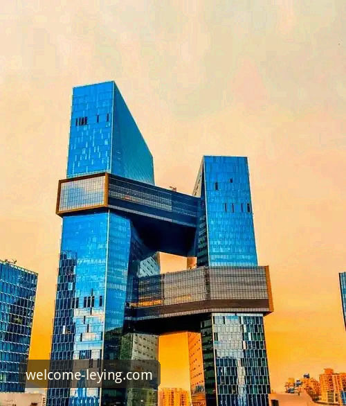 乐盈App下载链接 vs 网页端：移动与桌面的双重体验如何选择？