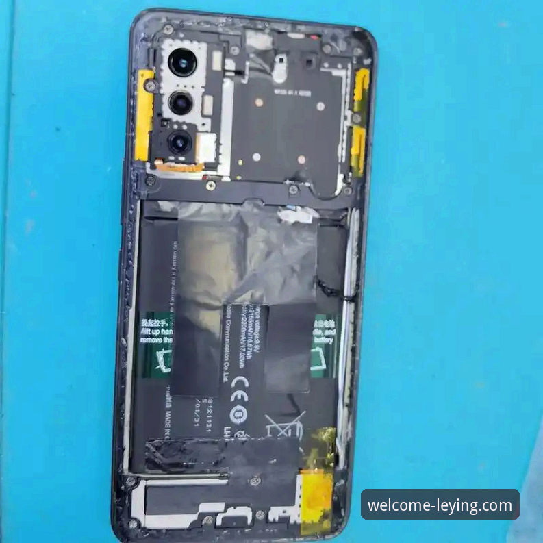 乐盈下载速度实测：2024年最新版本手机端响应效率全解析