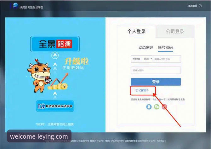乐盈平台网页登录入口全面评测：哪个才是最佳选择？